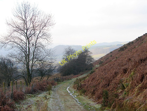 Photo 6"x4" A track in Cwm-Llinau Cwm-Llinau c2008