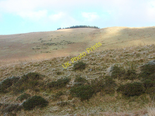 Photo 6"x4" A view towards Llechwedd Mawr Aberangell c2008