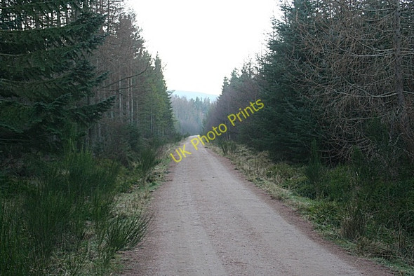 Photo 6"x4" Back o' Bennachie Kirkton\/NJ6425 c2008