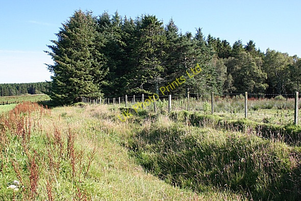 Photo 6"x4" Burn of Knockandhu Maggieknockater c2007