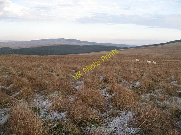 Photo 6"x4" Rough Moorland Barr Burn\/NX7981 c2008