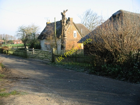 Photo 6"x4" Thatched cottage on Cooting Lane Adisham c2008 P1