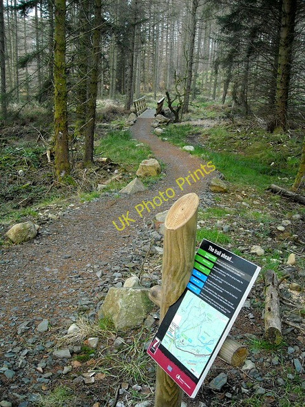 Photo 6"x4" Cycle Trail in Glen Trool Forest Glentrool Village c2008