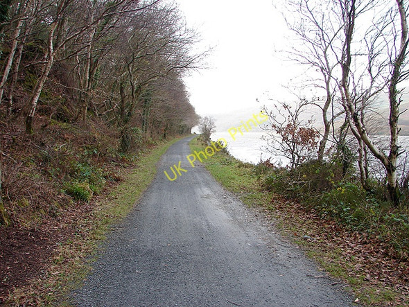 Photo 6"x4" The Mawddach Trail as it approaches Penrhyn Cregyn Bontddu c2008