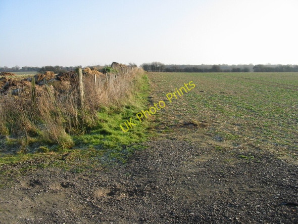 Photo 6"x4" Field margin Adisham c2008