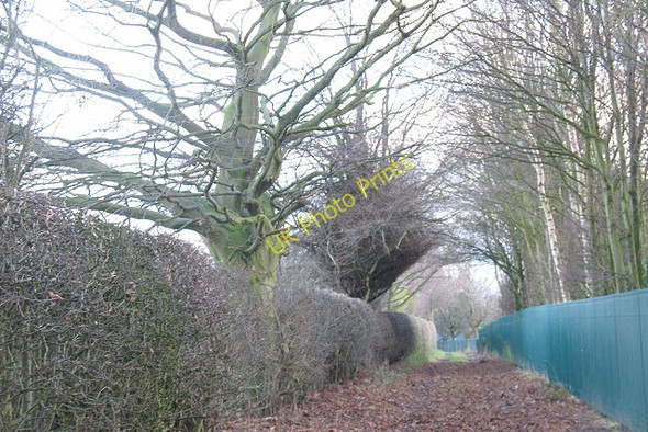 Photo 6"x4" Footpath from Bradwall Road to Offley Road Sandbach c2008
