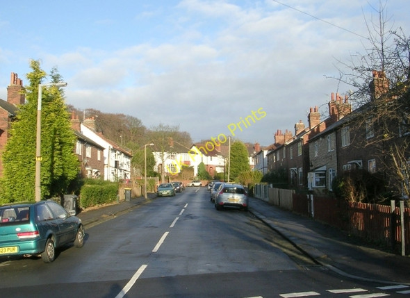 Photo 6"x4" Langdale Gardens - Canterbury Drive Burley\/SE2734 c2009
