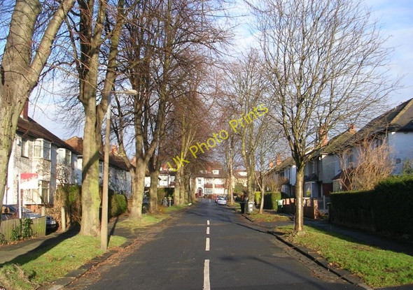Photo 6"x4" Langdale Avenue - Canterbury Drive Burley\/SE2734 c2009