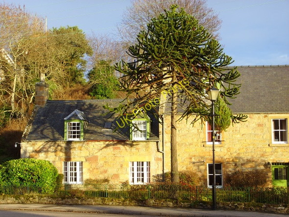 Photo 6"x4" Cottage in Dornoch Dornoch c2008