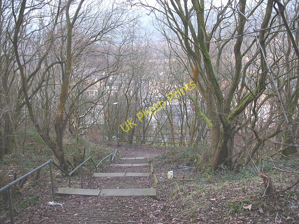 Photo 6"x4" Steps down from Longfield Road Todmorden c2008