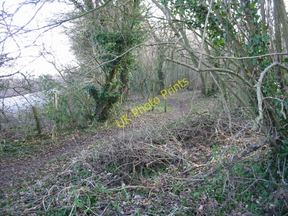 Photo 6"x4" Footpath to Adisham Adisham c2008