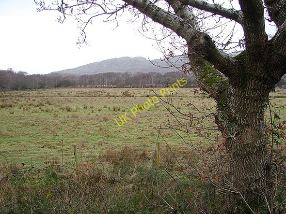 Photo 6"x4" Pasture viewed from the Mawddach Trail Barmouth\/Abermaw c2008