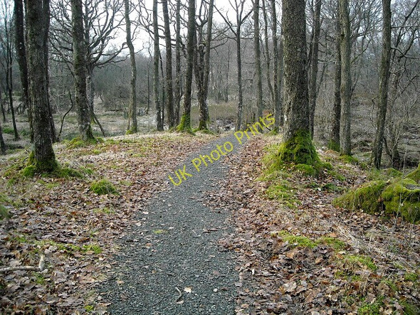 Photo 6"x4" Southern Upland Way Glentrool Village c2008
