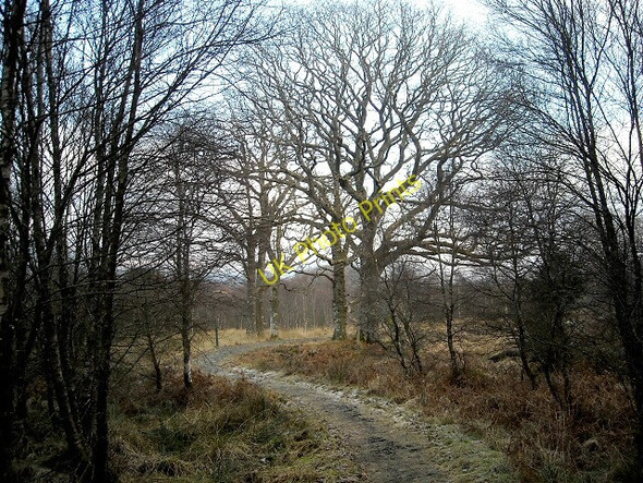 Photo 6"x4" Southern Upland Way in Glen Trool Glentrool Village c2008