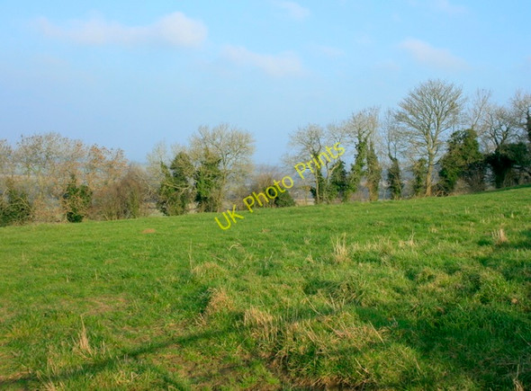 Photo 6"x4" 2008 : Pasture on Hinton Hill Hinton\/ST7376 c2008