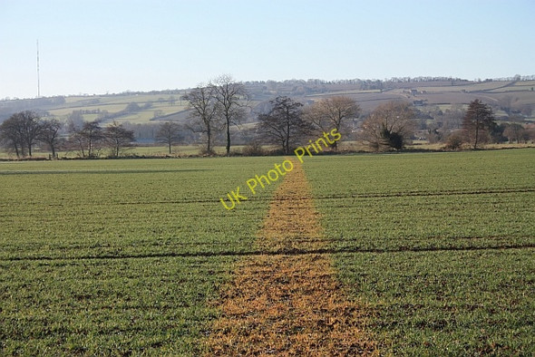 Photo 6"x4" Path to the Preston Brook Rushall\/SO6434 c2009