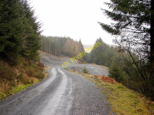Photo 6"x4" Forestry track above Nant Trawsnant Pant Mawr\/SN8482 c2008