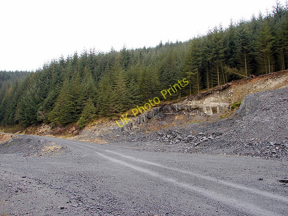 Photo 6"x4" Quarry workings in the forestry above Nanty Pant Mawr\/SN8482 c2008