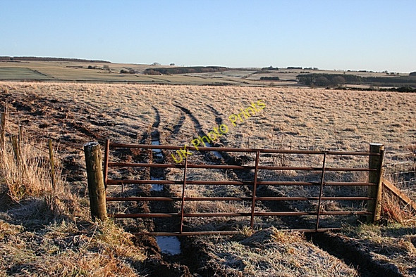 Photo 6"x4" Field at Upper Drakemyres Auchinderran\/NJ4055 c2009