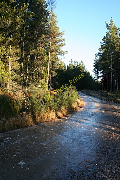 Photo 6"x4" Icy Track Orton\/NJ3153 c2009