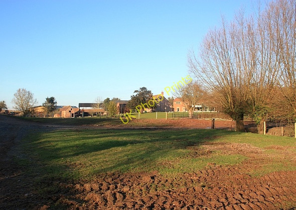Photo 6"x4" Laddin Farm Little Marcle c2009
