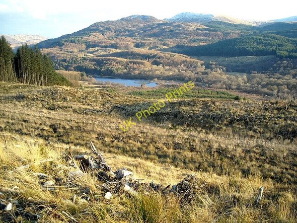 Photo 6"x4" Hillside Above Loch Trool Torr Lane c2009