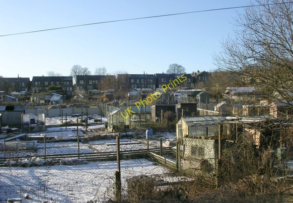 Photo 6"x4" Allotments - Upper Chelsea Street Keighley c2009