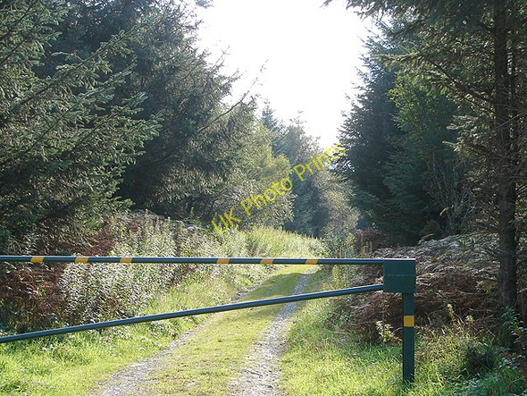 Photo 6"x4" Gated forestry track Pen-bont Rhydybeddau c2008