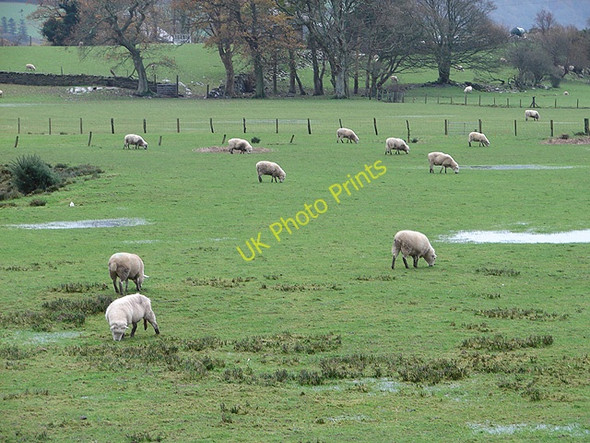 Photo 6"x4" Pasture inside the sea defences at Glastraeth Llanfihangel-y-traethau c2008