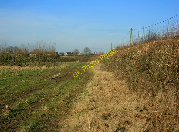 Photo 6"x4" 2009 : Field off Forest Lane near Bowden Hill Bowden Hill\/ST9367 c2009