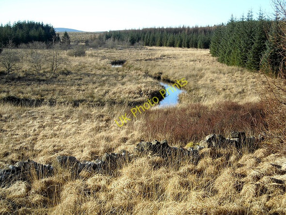 Photo 6"x4" Carrick Burn Blanyvaird Loch c2009