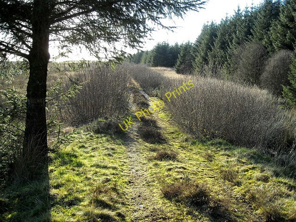 Photo 6"x4" Track Near Barwinnock Bargrennan c2009
