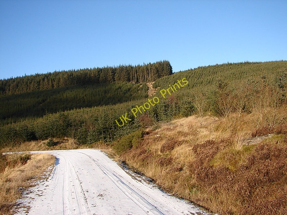 Photo 6"x4" Forestry road at Rhos Lydan Pant Mawr\/SN8482 c2009