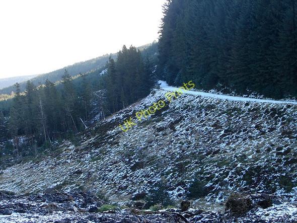 Photo 6"x4" Hafren Forestry Road Pant Mawr\/SN8482 c2009