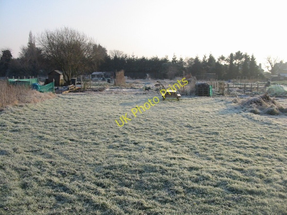 Photo 6"x4" Frosted allotments at Eastry Buttsole c2009