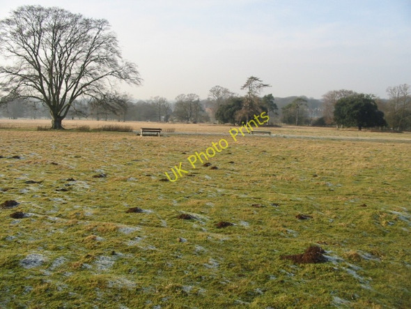 Photo 6"x4" View across St Alban's Down Chillenden c2009