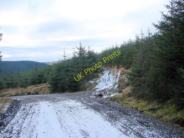 Photo 6"x4" Hafren Forestry Road Tynyrwtra\/SN8885 c2009