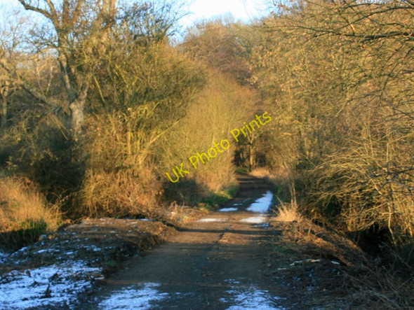 Photo 6"x4" 2009 : The lane from Frogditch Chittoe c2009