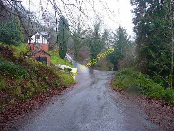 Photo 6"x4" Fork in the road at Symonds Yat West Great Doward c2009