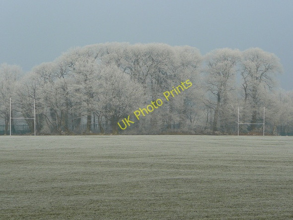 Photo 6"x4" Frosted trees at Five Acres campus 3 Berry Hill\/SO5712 c2009