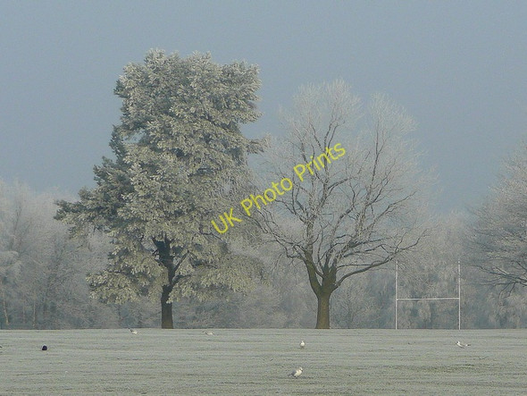 Photo 6"x4" Frosted trees at Five Acres campus 4 Ninewells\/SO5812 c2009