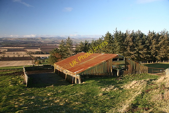 Photo 6"x4" Sheep shed on East Nevay hill East Nevay c2009