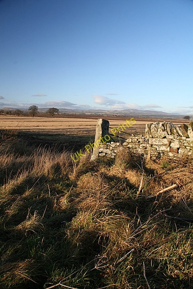 Photo 6"x4" Field entrance near North Nevay Balkeerie c2009