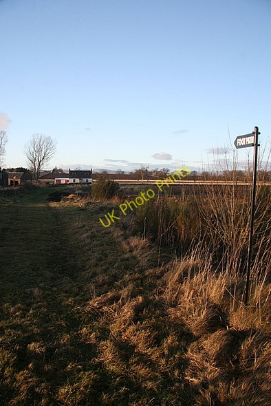 Photo 6"x4" Footpath towards Langlogie Balkeerie c2009