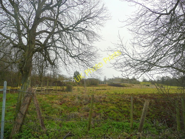 Photo 6"x4" View to The Walled Garden nursery Horsey\/ST3239 c2009