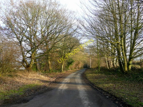 Photo 6"x4" Folly Lane - looking east towards Warminster Warminster c2009