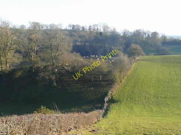 Photo 6"x4" Rolling pastures Brooks\/SO1499 c2009