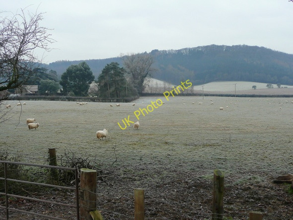Photo 6"x4" Frosty pastures 2 Ross-on-Wye c2009