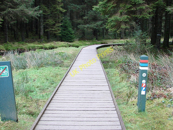 Photo 6"x4" Severn Way boardwalk Tynyrwtra\/SN8885 c2009