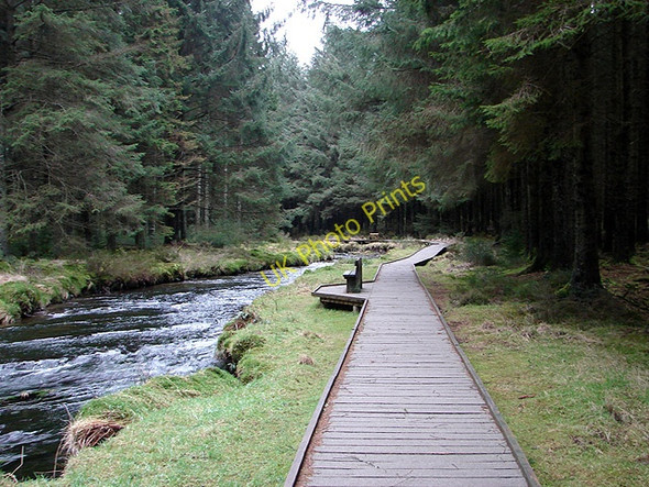 Photo 6"x4" Boardwalk beside the Severn Tynyrwtra\/SN8885 c2009